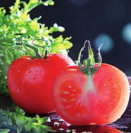 Hortalizas Tomate Label Vasco (cosechado y certificado en Euskadi) Tomate de calidad del País Vasco madurado en planta, de gran tamaño, forma irregular y asurcado.