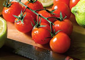 Hortalizas Tomate Procedencia de los tomates comercializados en la Red de Mercas.