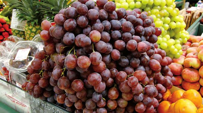 Frutas Principales zonas de producción UVAS (Vitis vinifera. Orden: Rhamnales.