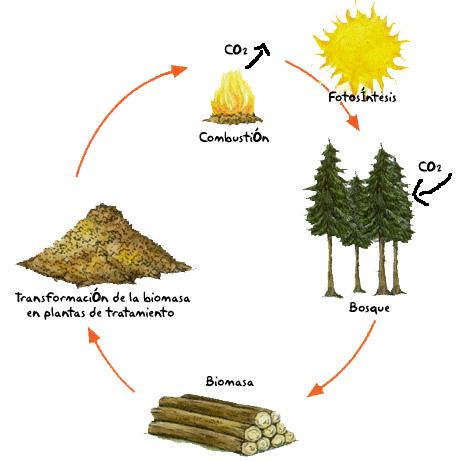 La biomasa es una fuente de Energía Renovable, porque gestionada correctamente es un recurso inagotable. Ciclo neutro de emisiones de CO 2 