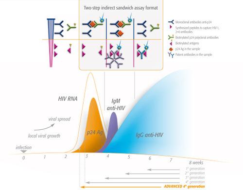 ta generación combo Ac-Ag Determinación combinada de a HIV-1 (groups M and O) y anti- 2 +