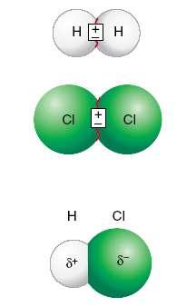 Polaridad en las moléculas covalentes.