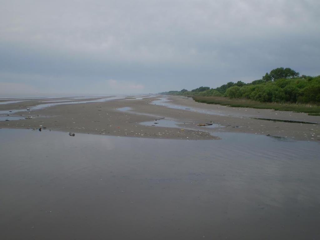 Al reducirse la velocidad del agua de este río al llegar al mar, se sedimentan las arenas y