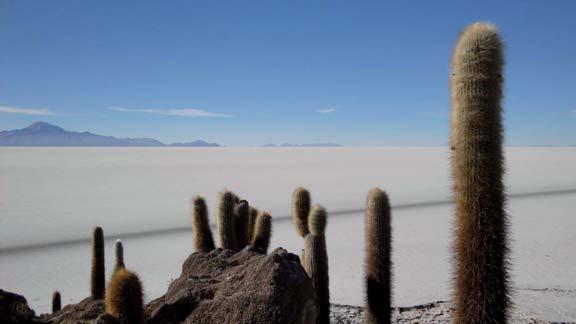 suelo, falta de agua Explotación de lítio en el Salar de Uyuni Los depósitos de lítio más grandes del mundo Importancia para la