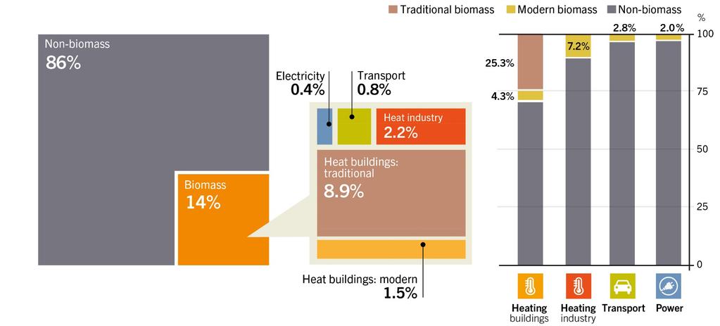 Participación Biomasa en el Consumo Final Total de Energía,