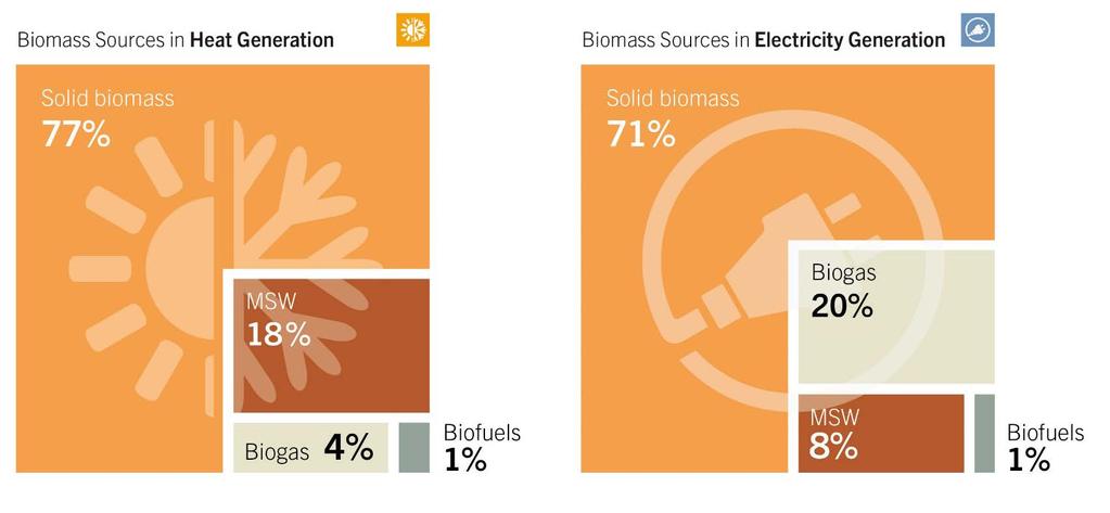 Participación de la Biomasa en Generación de Calor y de Electricidad,
