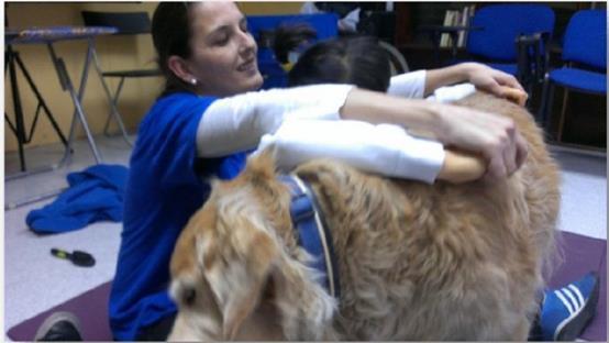 Módulo 2: Intervención Educativo-Terapéutica Asistida con Perros - Intervención Asistida con Perros en discapacidad (escuelas de educación especial, rehabilitación funcional, individuales, etc.