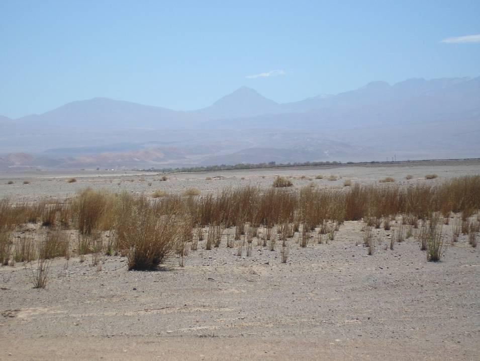 Atacama. Cordillera de la Sal al fondo.