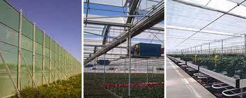 Sistema de producción Transición a Agroecológico: el predio tiene un área 1,92 ha.