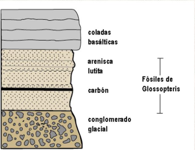 Método estratigráfico Columna estratigráfica Expresión