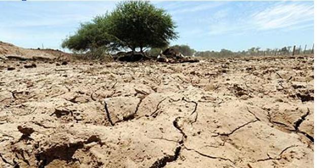 Destinan Bs5 millones ante fenómenos naturales Declaran emergencia departamental por sequía en Santa Cruz http://www.erbol.com.