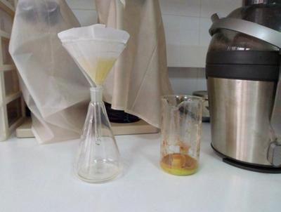 Elaboración de zumo y filtrado Toma de ph del zumo Modelo de ficha varietal Nuevamente se ha seguido el modelo de Díaz et al.
