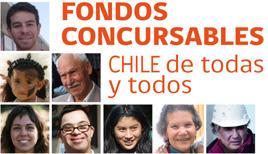 Interamericano de Desarrollo, el Programa de Fortalecimiento a Organizaciones de la Sociedad Civil que Promueven la Igualdad de Género en Chile de ONU Mujeres y la Unión Europea.