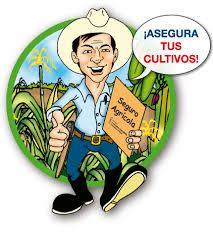 Seguro Agrícola y Gandero Unidad de Seguro Agrícola (UNISA) LOGROS / BENEFICIARIOS Diseñar, controlar, regular, ejecutar y evaluar al Proyecto AgroSeguro.