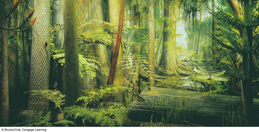 Representación - bosque del Carbonífero tallo de un licófito gigante (Lepidodendron), ca.