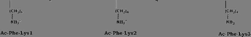 CAPÍTULO 2. METODOLOGÍA EXPERIMENTAL V add = K Lys1 K Lys2 Esquema 2.1. Equilibrios iónicos correspondientes a la Ac-Phe-Lys.