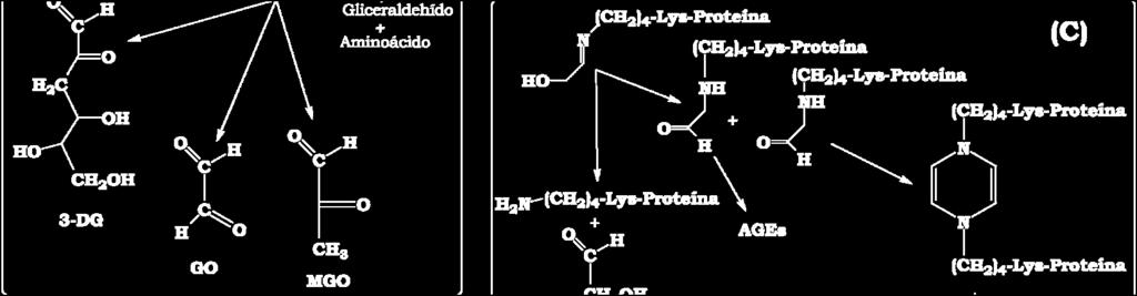 generando una nueva BS entre el glicolaldehído (GLA) y el grupo ε-amina de las Lys, reacción conocida como el camino de Namiki (camino (C) en el 