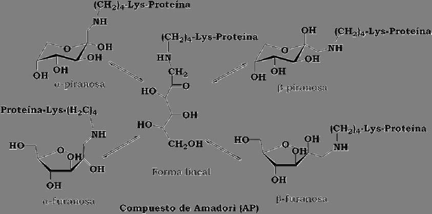 CAPÍTULO 1. GLICACIÓN PROTEICA (GP) 2.3 COMPUESTOS DE AMADORI (AP). 2.3.1 FORMACIÓN. En el esquema 1.12 (A) se muestra la formación del AP a partir de la glucosamina correspondiente.