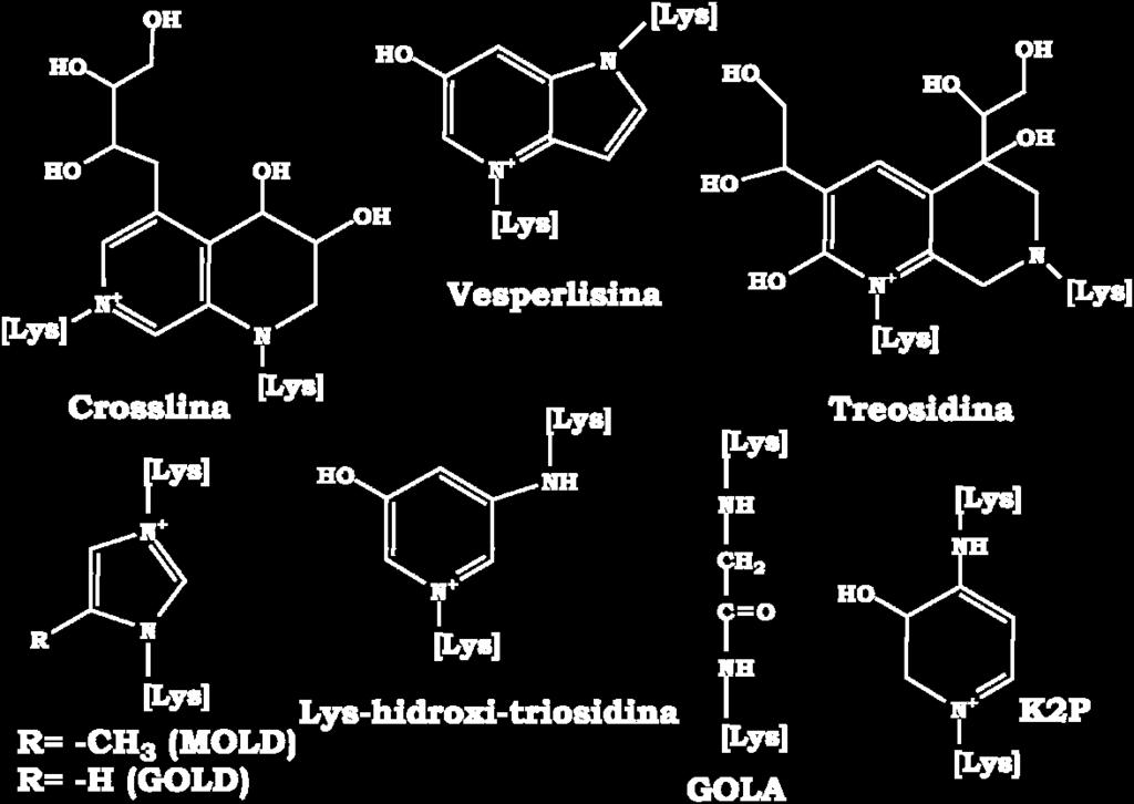 [SELL, 1989] aislaron el primer AGE de estas características, la pentosidina (PNT).