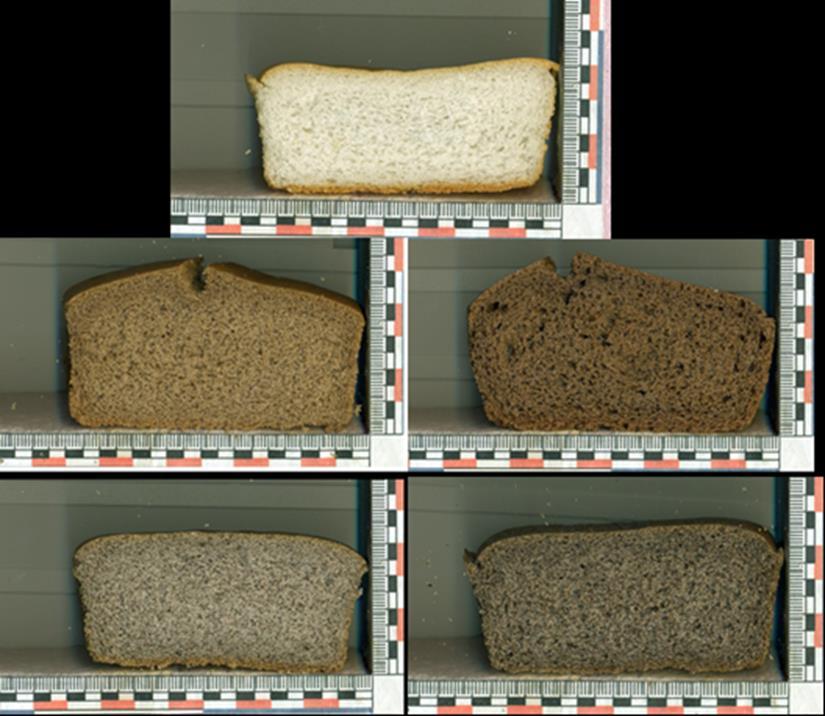 Mejora del valor nutricional del pan sin gluten mediante la adición de un