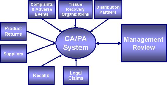 COMO SE INTERPRETA EN ALGUNOS CASOS El sistema CAPA no debe ser visto simplemente como el resultado necesario de una desviación o evento.
