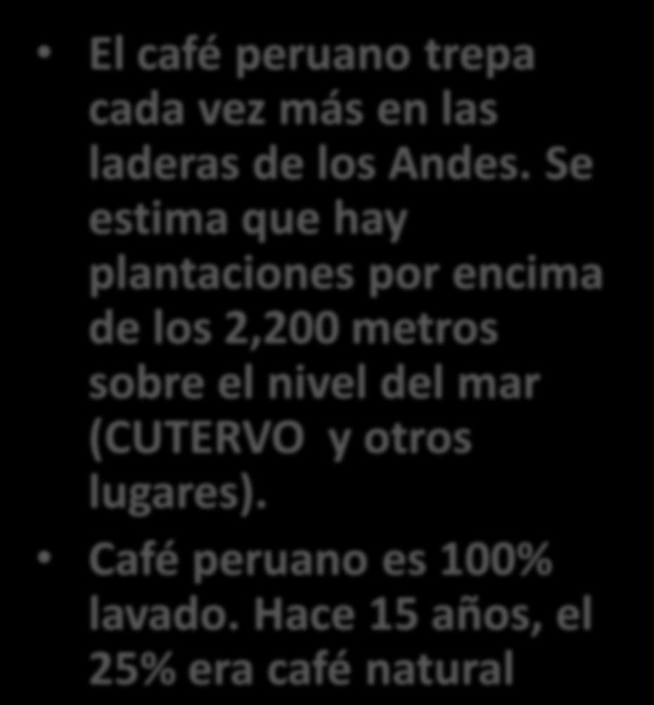 CARACTERÍSTICAS DE LA OFERTA El café peruano trepa cada vez más en