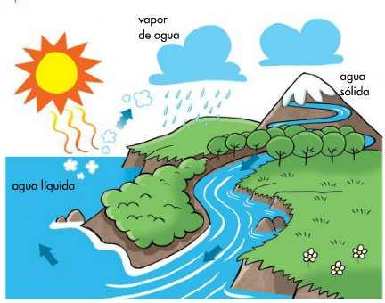6. El ciclo del agua 30 6a. Qué es el ciclo del agua?