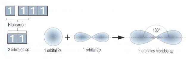Enlace triple, C C Los orbitales sp se forman por combinación de un orbital s con uno p. Los nuevos orbitales son lineales, por lo que forman un ángulo de 180º.