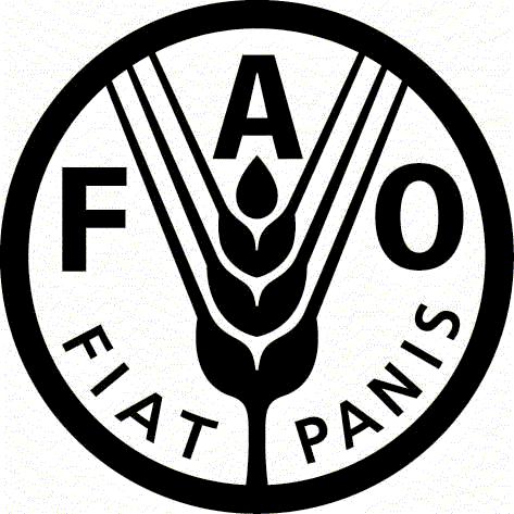 METODOLOGÍA PROYECTO FAO SAG La metodología se basa en el documento FAO Guía rápida para