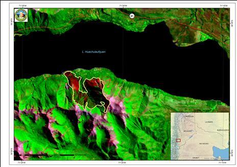 15 Figura 6: incendio El Contra, imagen satelital Landsat 8 OLI con fecha 10 de marzo de 2015. 3.3. Collón Cura.