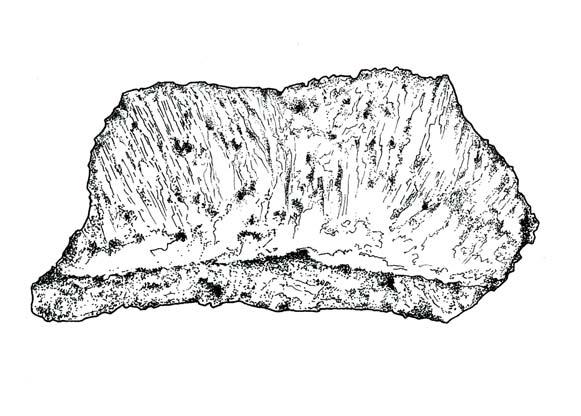 Cerámico: Lepa Temporalidad: 625-1,000 D.C. Pasta: burda. Se observa una cantidad considerable de desgrasante, de tamaño mediano, probablemente piedra pómez y partículas ferrosas.