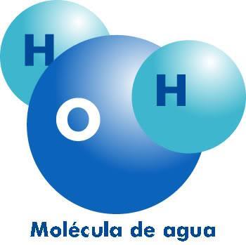 átomos de una molécula o un