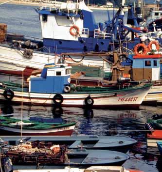 El Programa terminará con el fomento de la participación de los agentes implicados directamente en la adaptación y puesta en marcha de las nuevas actividades turístico-pesqueras en la formulación de