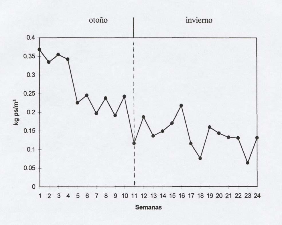 10 La cantidad de pasto seco por metro cuadrado obtenida en cada uno de los muéstreos realizados durante otoño e invierno de 1995, presentó una tendencia a disminuir a medida