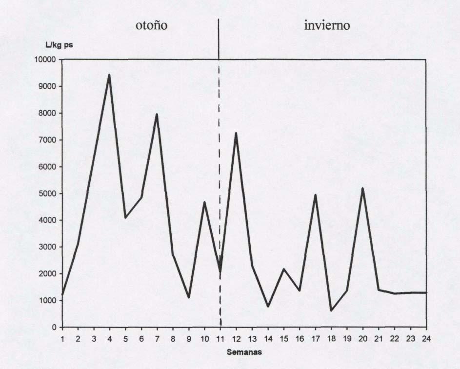 11 La cantidad total de larvas por kilo de pasto seco (Gráfico 3), obtenidas después del aislamiento e identificación de las muestras, fluctuó entre un mínimo de 613 L/kg ps y un máximo de 9423 L/kg
