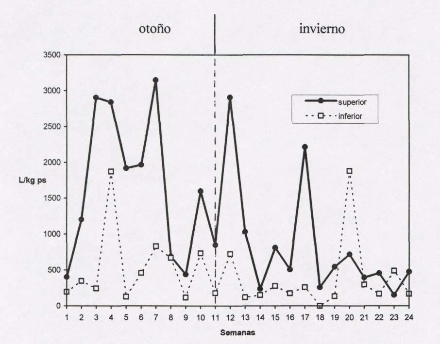 12 La tendencia de la distribución de larvas en la porción superior e inferior del pasto durante otoño e invierno de 1995 (Gráfico 4) indicó que existía diferencia significativa (p < 0,05) entre las