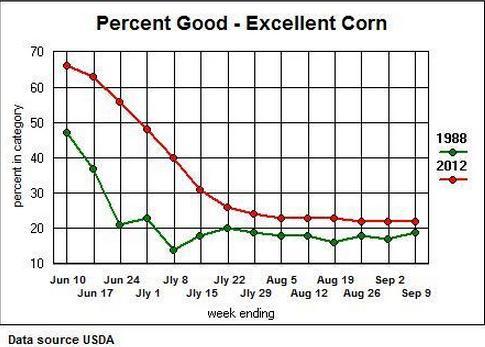 Porcentaje de maíz en estado bueno/excelente