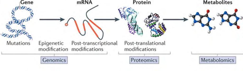 Cualquier Biomolécula 25.000 genes 100.000 tránscritos 1.000.000 proteínas 3.