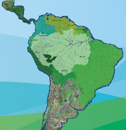 Definición y conceptualización de la Amazonía: Indicadores en salud Inventario de convenios y acuerdos en salud Actividades realizadas respecto a Arbovirosis Acciones alrededor de TB y VIH
