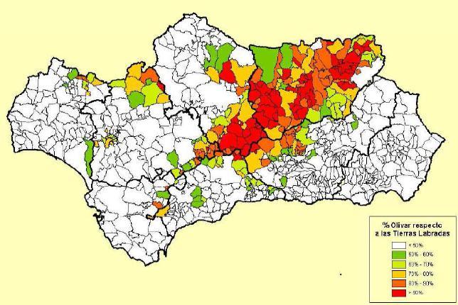 superficie de olivar por municipios