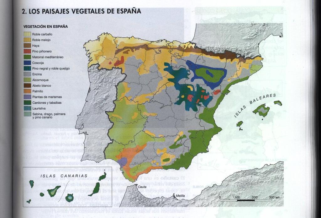 EJERCICIO PAISAJES NATURALES 2 2) El mapa representa los distintos tipos de paisajes vegetales que existen en España.