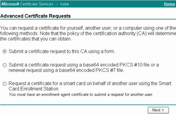 5. Complete todos los elementos en el formulario de solicitud de certificado avanzado.