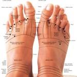 puntos sobre los pies, manos, nariz u orejas (llamados «zonas de reflejo»), basada en la creencia pseudocientífica de que ese masaje tendría un efecto benéfico en un órgano
