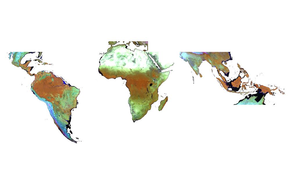 Mapa de biomasa pantropical Mosaico MODIS de la mejor calidad Datos de