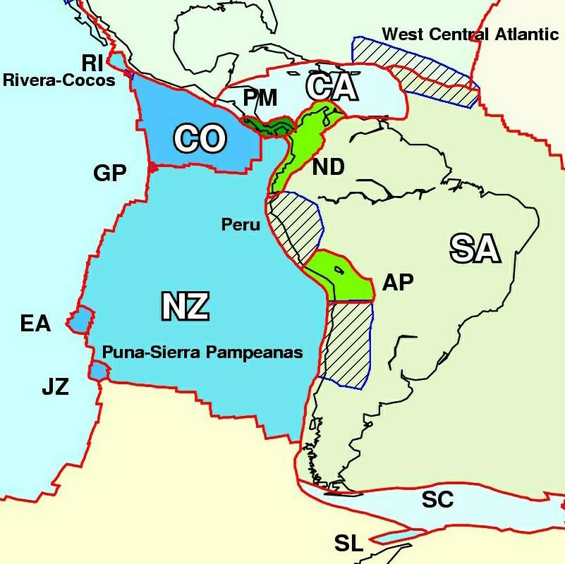Placas y zonas de deformación en SIRGAS según los modelos geofísicos Bessel Baeyer En la región SIRGAS hay 5 placas mayores, 9 placas menores y 4 zonas de deformación entre placas.