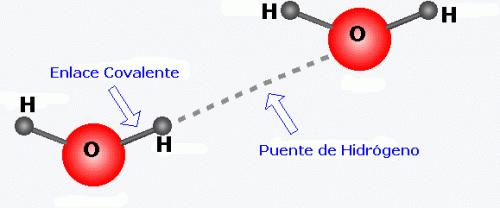 Puente de hidrógeno Es un tipo especial de los enlaces de van der Waals H