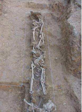 Informe relativo a los restos humanos hallados en la sima