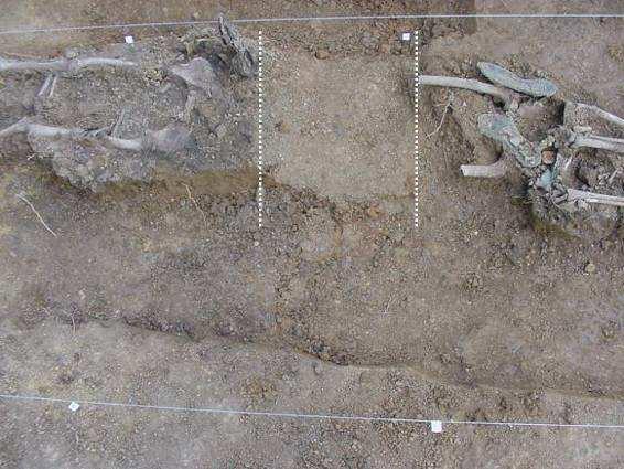 Informe relativo a los restos humanos hallados en la sima de Larretxiki (Aralar) http://www.sc.ehu.