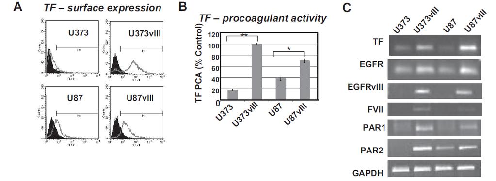 3.1 La prevención implica conocer los mecanismos moleculares de forma contextualizada Modelo del «loop autocrino» de Magnus Regulación positiva de FT, FVII, PAR-1 y PAR-2 en líneas celulares de