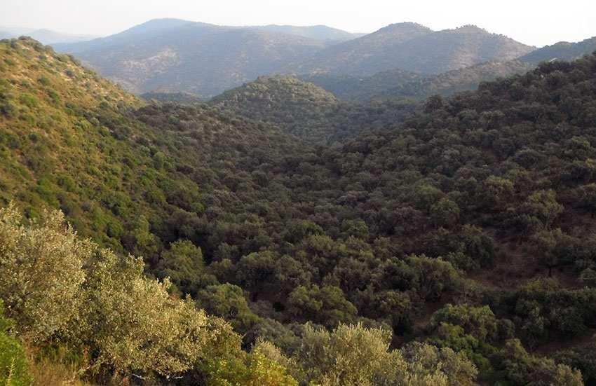 EL PARQUE NATURAL El Parque Natural de la Sierra de Hornachuelos se encuentra situado en el sector occidental de la provincia de Córdoba.